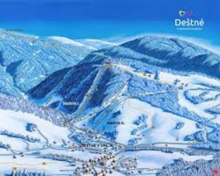 Apartment Adam Destne v Orlickych horach